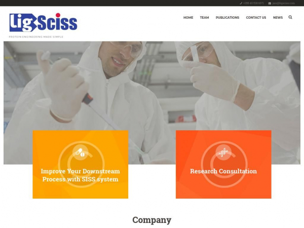 ligsciss.com